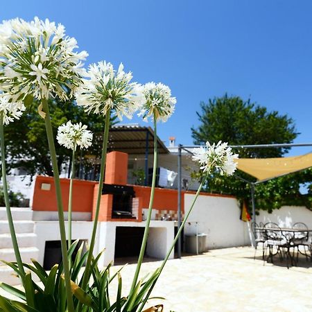 אוסטוני Villetta Panoramica מראה חיצוני תמונה